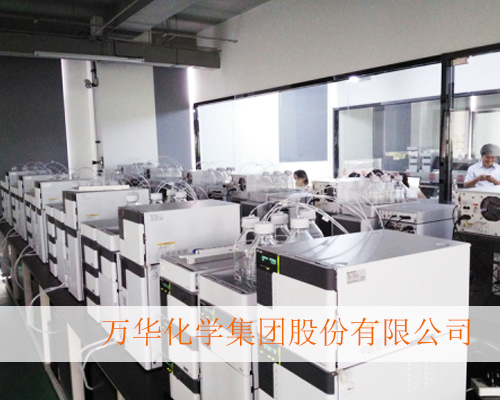 万华化学集团股份有限公司