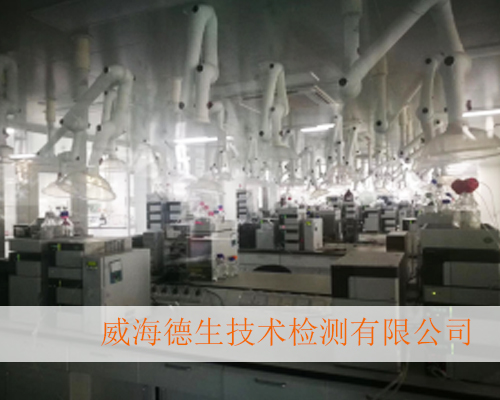 威海德生技术检测有限公司